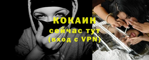 шишки Киренск