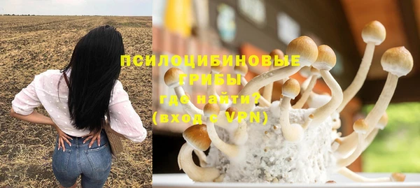стаф Киреевск