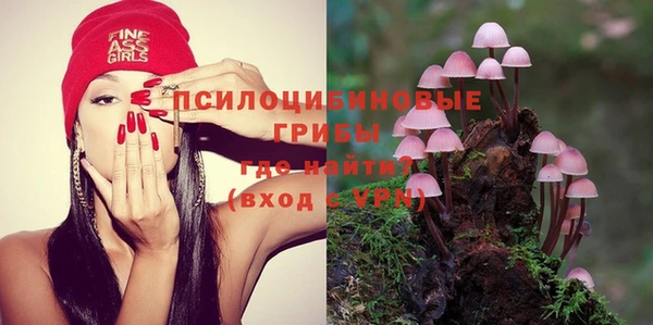 стаф Киреевск