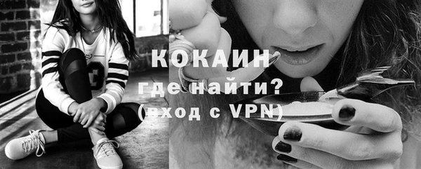 шишки Киренск