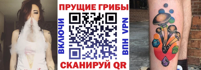Купить  Печоры  Псилоцибиновые грибы MAGIC MUSHROOMS 